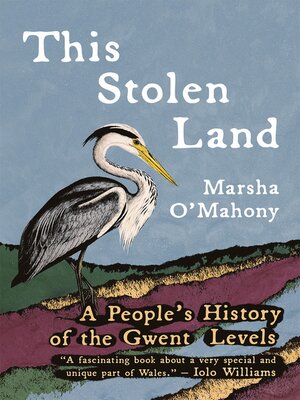 cover image of This Stolen Land